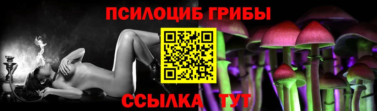 Псилоцибиновые грибы Psilocybe Белебей